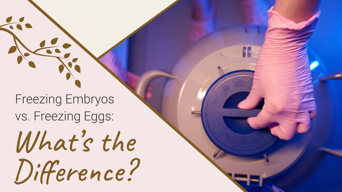Freezing Embryos vs. Freezing Eggs: What’s the Difference?
